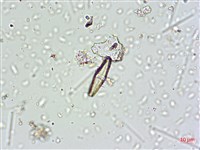 登錄號:A00004667藏品圖，第4張