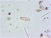 登錄號:A00004667藏品圖，第5張