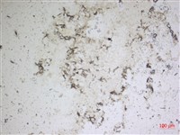 登錄號:A00004669藏品圖，第2張