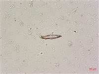 登錄號:A00004669藏品圖，第4張