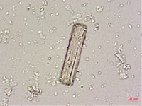 登錄號:A00004669藏品圖，第5張