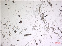 登錄號:A00004670藏品圖，第2張