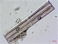 登錄號:A00004670藏品圖，第5張