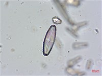 登錄號:A00004671藏品圖，第3張