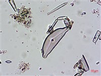 登錄號:A00004671藏品圖，第4張