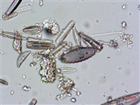 登錄號:A00004671藏品圖，第11張