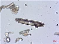 登錄號:A00004671藏品圖，第12張