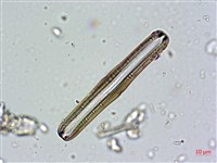 登錄號:A00004672藏品圖，第4張