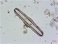 登錄號:A00004672藏品圖，第5張