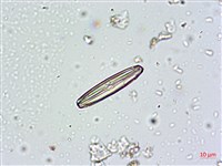 登錄號:A00004672藏品圖，第7張