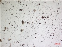 登錄號:A00004673藏品圖，第2張