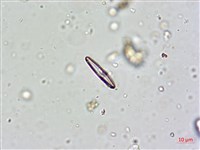 登錄號:A00004673藏品圖，第6張