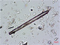 登錄號:A00004673藏品圖，第9張