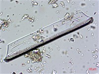登錄號:A00004673藏品圖，第10張