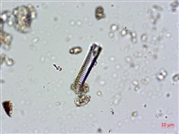 登錄號:A00004674藏品圖，第4張