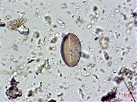 登錄號:A00004674藏品圖，第6張
