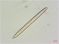 登錄號:A00004675藏品圖，第4張