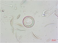 登錄號:A00004675藏品圖，第8張