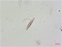 登錄號:A00004675藏品圖，第9張