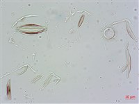 登錄號:A00004675藏品圖，第14張