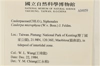 登錄號:A00004859藏品圖，第2張