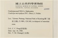 館號:A00004860藏品圖，第2張