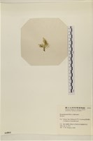 登錄號:A00004861藏品圖，第3張