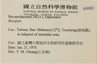 登錄號:A00004862藏品圖，第2張