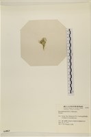 登錄號:A00004863藏品圖，第3張