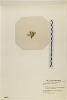 登錄號:A00004865藏品圖，第3張
