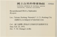 登錄號:A00004868藏品圖，第2張