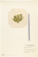 登錄號:A00004868藏品圖，第3張