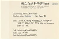 登錄號:A00004883藏品圖，第2張