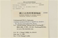 登錄號:A00004889藏品圖，第2張