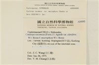 登錄號:A00004890藏品圖，第2張