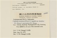 登錄號:A00004891藏品圖，第2張