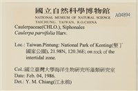 登錄號:A00004894藏品圖，第2張