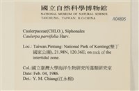 登錄號:A00004895藏品圖，第2張
