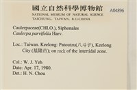 登錄號:A00004896藏品圖，第2張