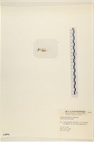 登錄號:A00004896藏品圖，第3張