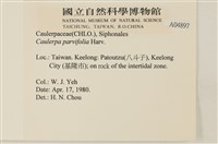 登錄號:A00004897藏品圖，第2張
