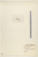 登錄號:A00004897藏品圖，第3張