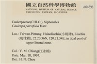 登錄號:A00004898藏品圖，第2張