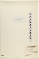 登錄號:A00004898藏品圖，第3張