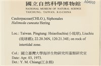 登錄號:A00004910藏品圖，第1張