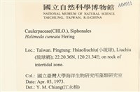登錄號:A00004911藏品圖，第2張