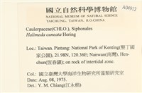 登錄號:A00004912藏品圖，第2張