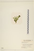 登錄號:A00004912藏品圖，第3張