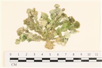 登錄號:A00004913藏品圖，第1張