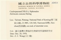 登錄號:A00004914藏品圖，第2張